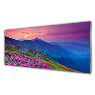 Glazen schilderij Mountain meadow flowers landscape