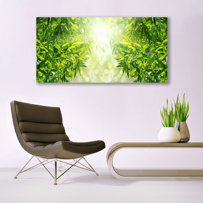 Glazen schilderij Bladeren natuur plant