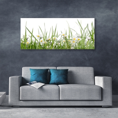 Glazen schilderij Grass daisies nature