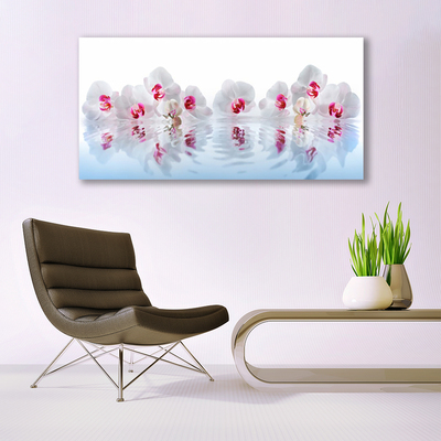 Glazen schilderij Bloemen plant nature art