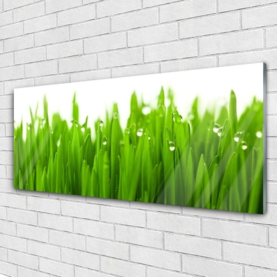 Glazen schilderij Grass nature plant