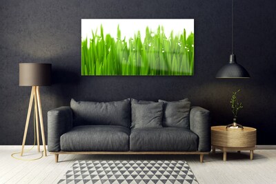 Glazen schilderij Grass nature plant