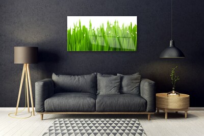 Glazen schilderij Grass nature plant