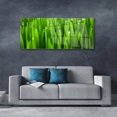 Glazen schilderij Grass nature plant