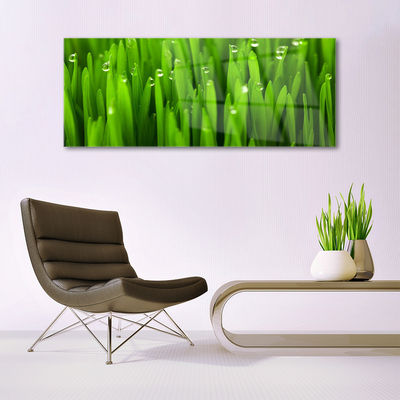 Glazen schilderij Grass nature plant