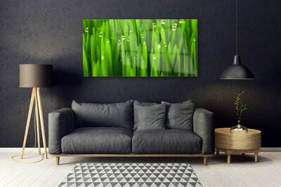 Glazen schilderij Grass nature plant