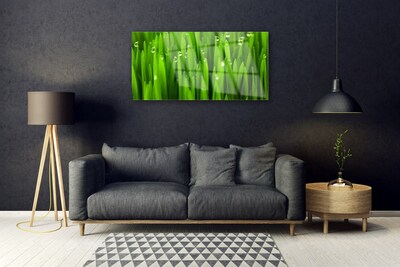 Glazen schilderij Grass nature plant