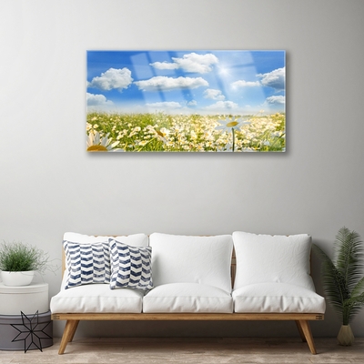 Foto in glas Daisy meadow nature