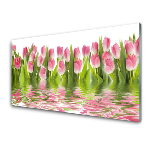 Foto in glas Plant tulpen natuur