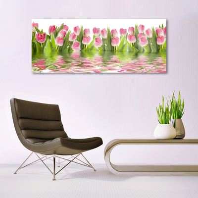 Foto in glas Plant tulpen natuur