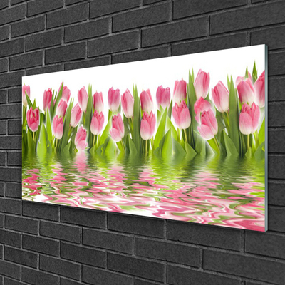 Foto in glas Plant tulpen natuur