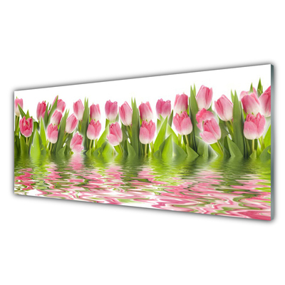 Foto in glas Plant tulpen natuur