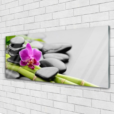 Foto in glas Flower bamboe stones art