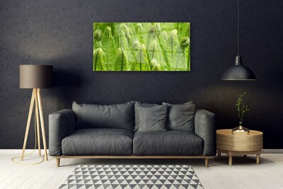 Foto in glas Installatie nature