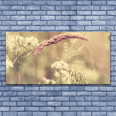 Foto in glas Wilde planten natuur