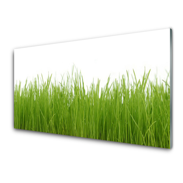 Foto in glas Grass nature plant