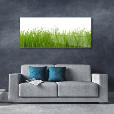 Foto in glas Grass nature plant