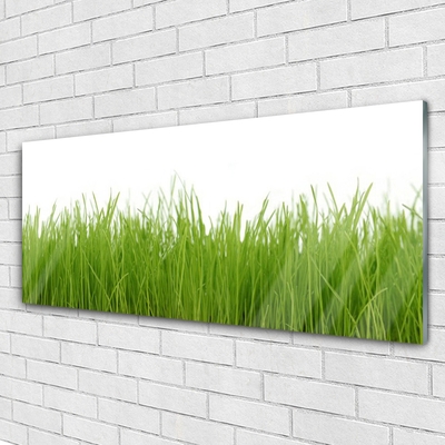 Foto in glas Grass nature plant