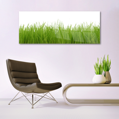 Foto in glas Grass nature plant