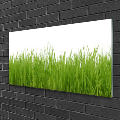 Foto in glas Grass nature plant