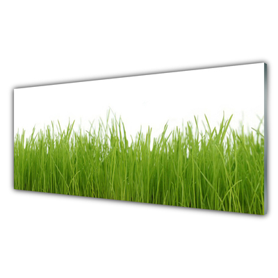 Foto in glas Grass nature plant