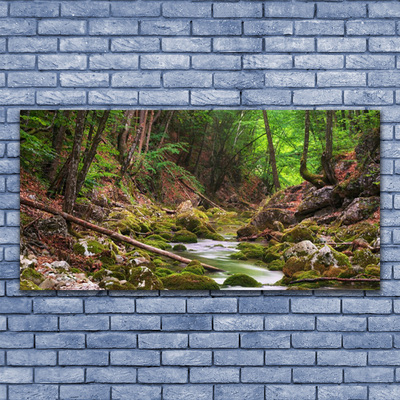 Foto in glas Forest moss nature