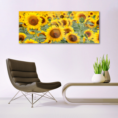 Foto in glas Plant zonnebloemen natuur