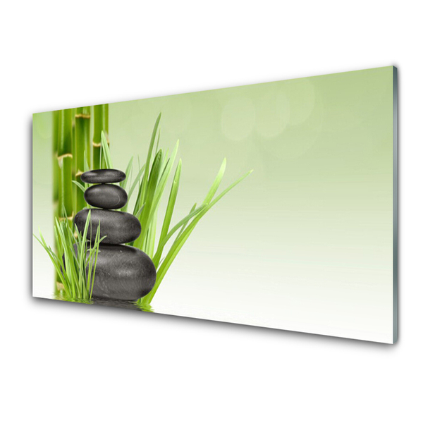 Foto in glas Bamboo grass plant natuur