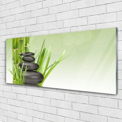 Foto in glas Bamboo grass plant natuur