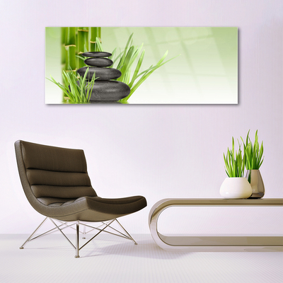 Foto in glas Bamboo grass plant natuur