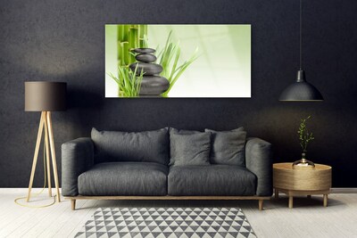 Foto in glas Bamboo grass plant natuur