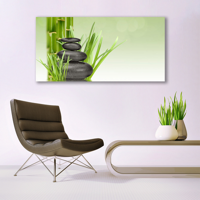 Foto in glas Bamboo grass plant natuur