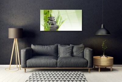 Foto in glas Bamboo grass plant natuur