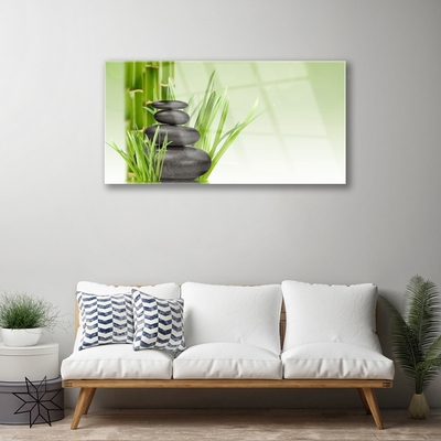 Foto in glas Bamboo grass plant natuur