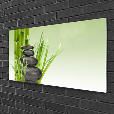 Foto in glas Bamboo grass plant natuur