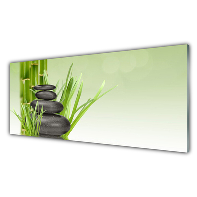 Foto in glas Bamboo grass plant natuur