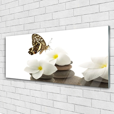 Foto in glas Butterfly flower plant stones