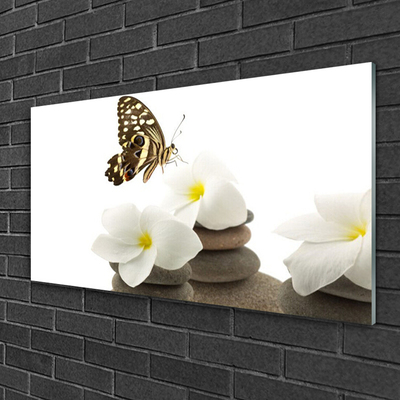 Foto in glas Butterfly flower plant stones