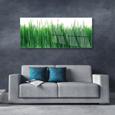 Foto in glas Grass nature plant