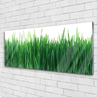 Foto in glas Grass nature plant