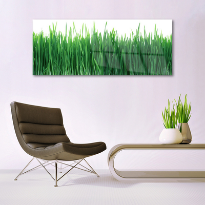 Foto in glas Grass nature plant