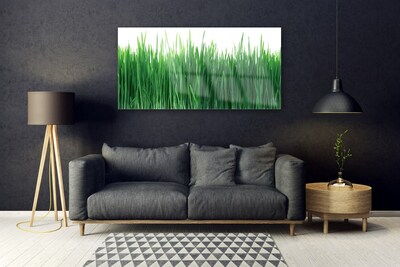 Foto in glas Grass nature plant