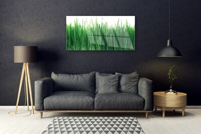 Foto in glas Grass nature plant