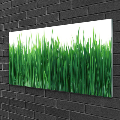 Foto in glas Grass nature plant