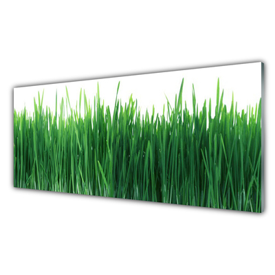 Foto in glas Grass nature plant