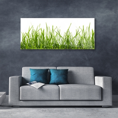 Foto in glas Grass nature plant