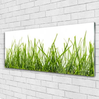 Foto in glas Grass nature plant