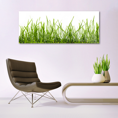 Foto in glas Grass nature plant