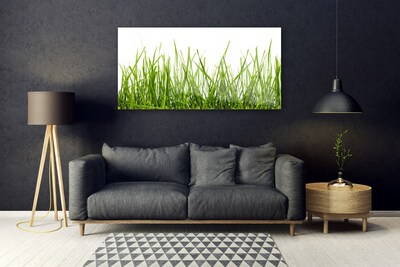 Foto in glas Grass nature plant