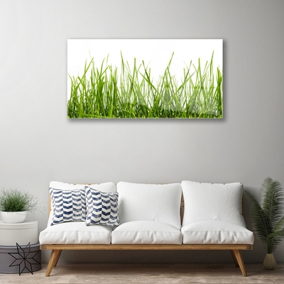 Foto in glas Grass nature plant